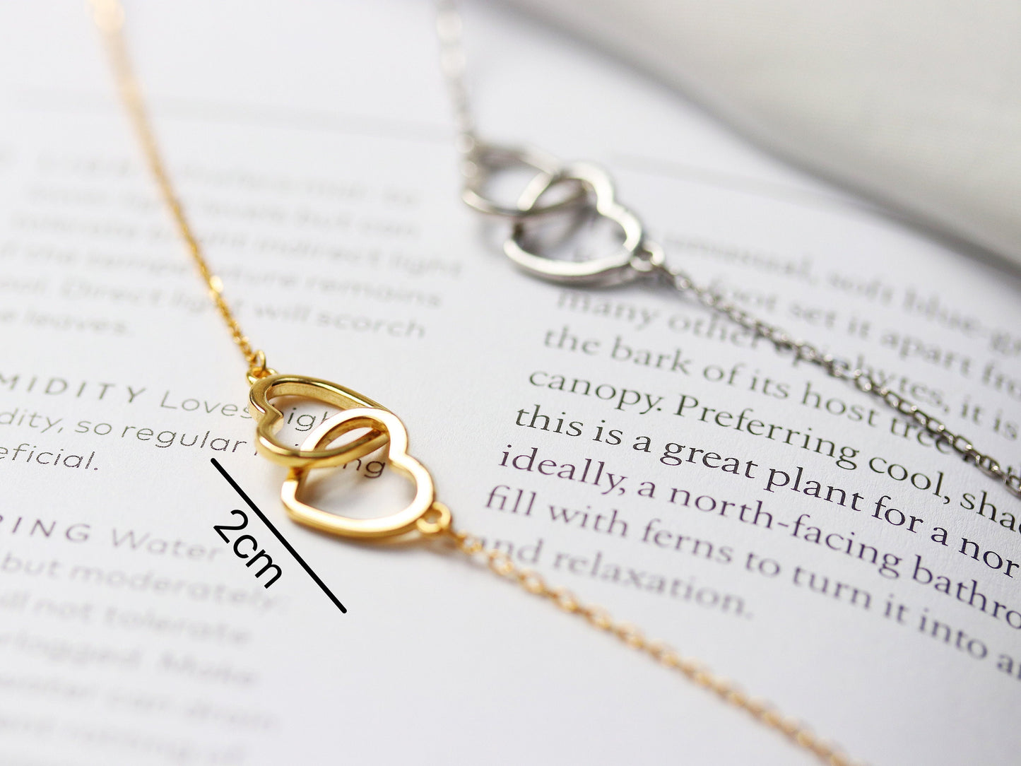 Sterling Silver Aunt & Niece Necklace, Silver Double Circle Necklace, Gold Interlinked Love Heart Necklace, Birthday Gift For Her